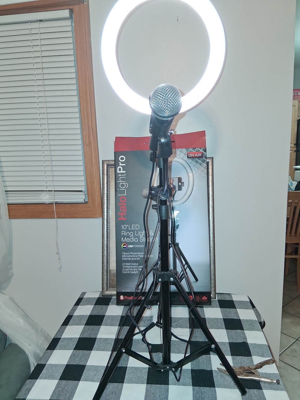 10" LED Ring Light with Microphone Stand - Black